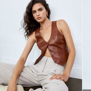 Desire vegan leather vest from aritzia